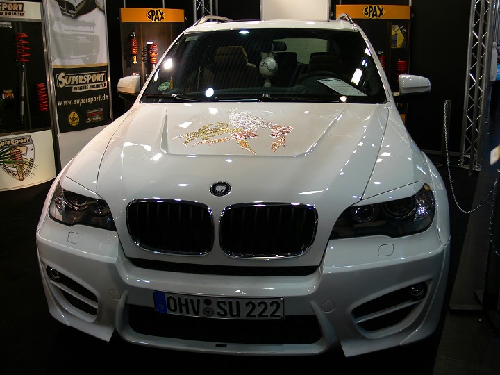 img00138.jpg