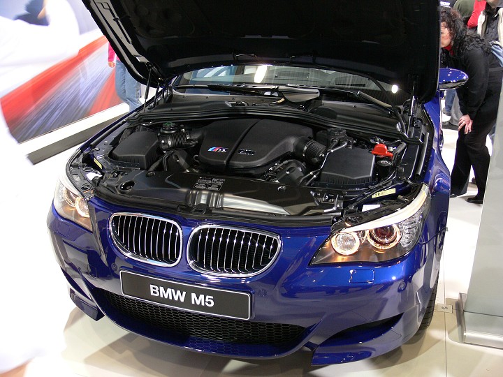 img00175.jpg