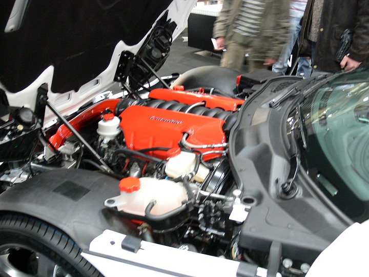 img00245.jpg