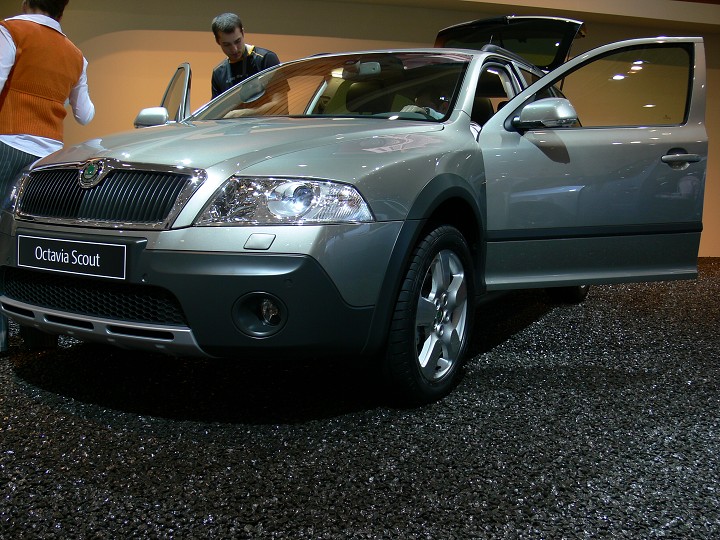 img00297.jpg